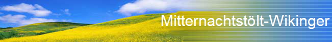 Mitternachtstlt-Wikinger