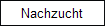 Nachzucht