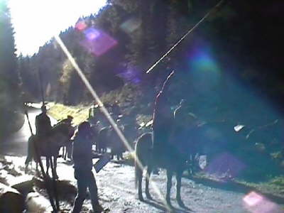 Speer2
