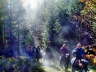 Burgwald