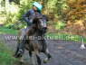 Helm von ..