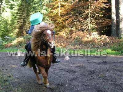 Helm von ..