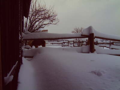 Schneemassen008