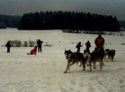 Schlittenhunderennen Fnfbronn